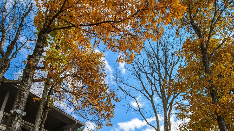 The Inn at Crestwood