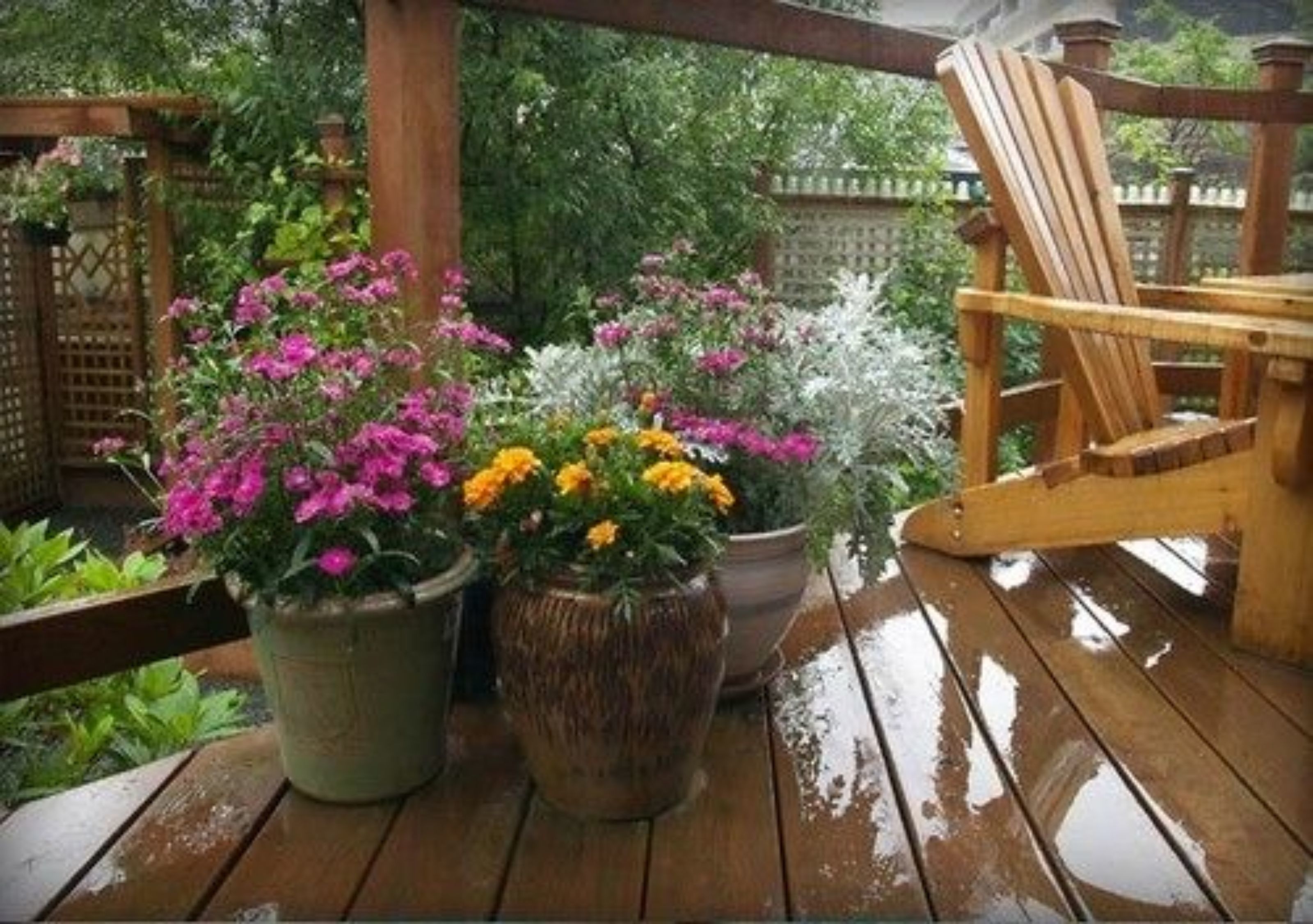 A wooden deck with potted plants and a wooden chair.