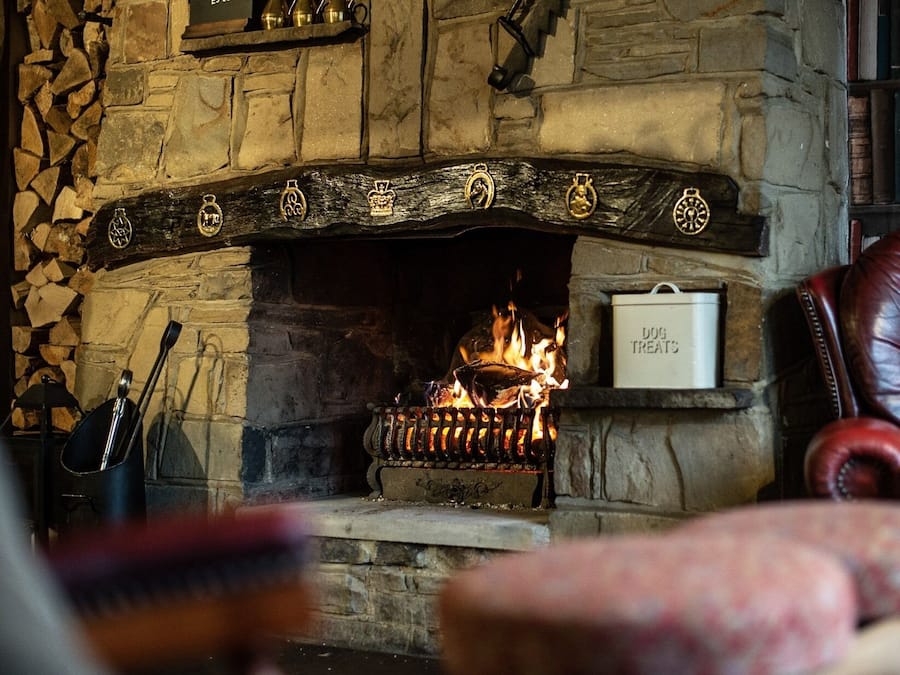 A stone fireplace with a sign reading "DOG TREATS" and a dog bowl on the mantel.