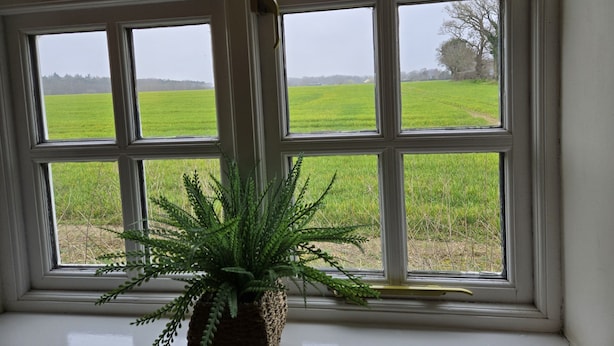 A window with a view of a green field and a tree. - Wayside (Norwich)