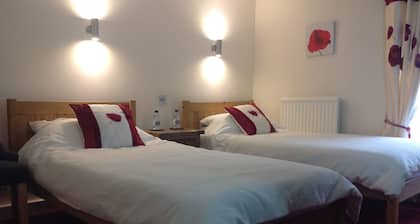 Afon Duad Inn