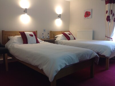 Afon Duad Inn