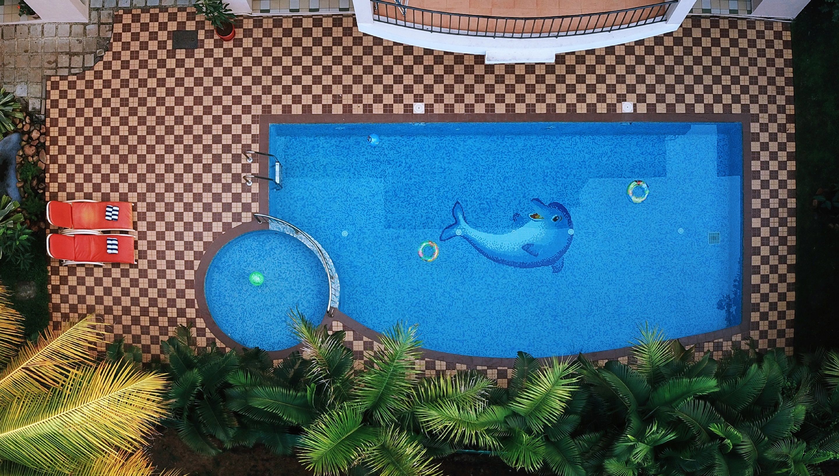 Outdoor pool, sun loungers