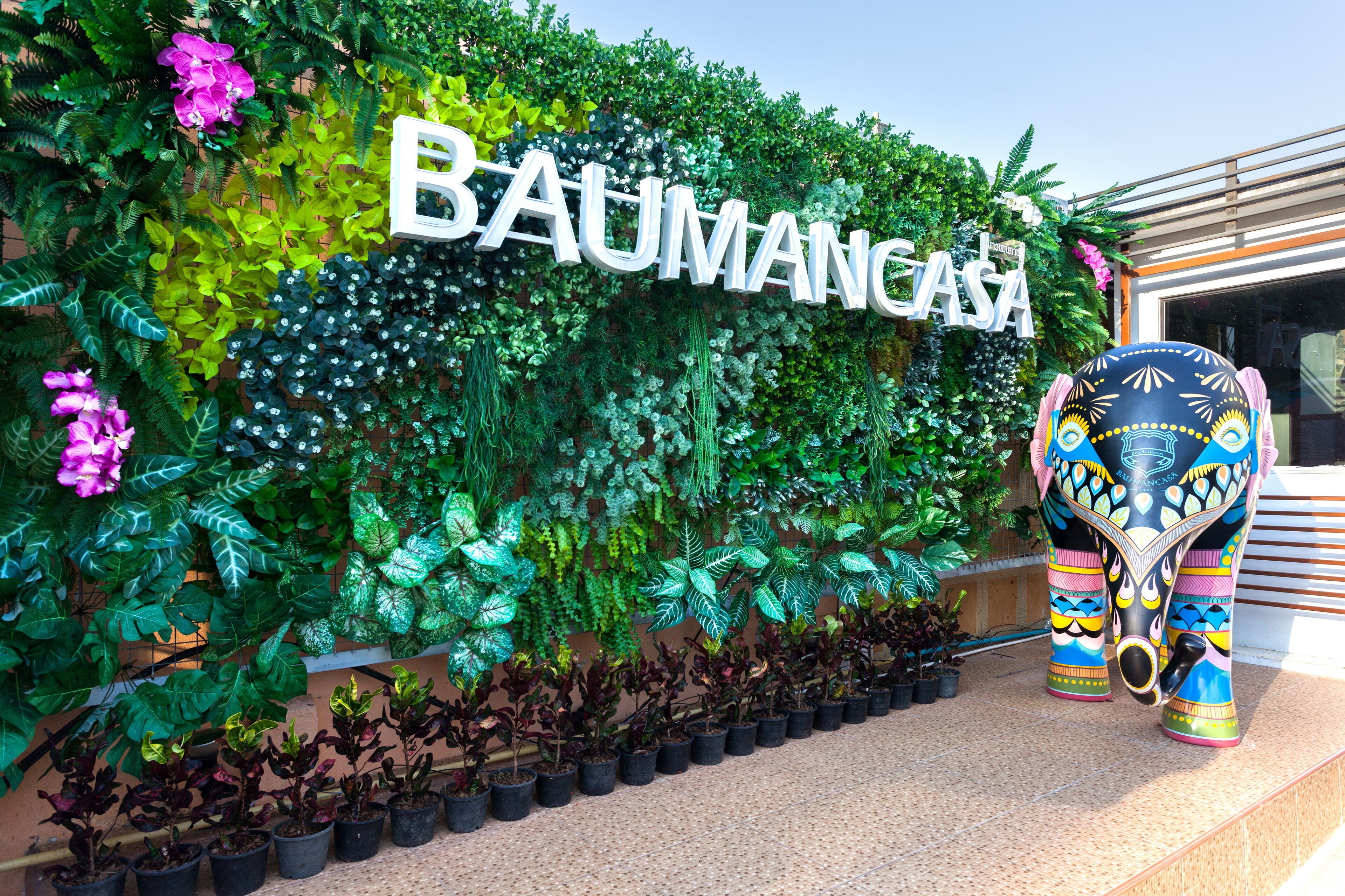 Foto - Baumancasa Beach Resort