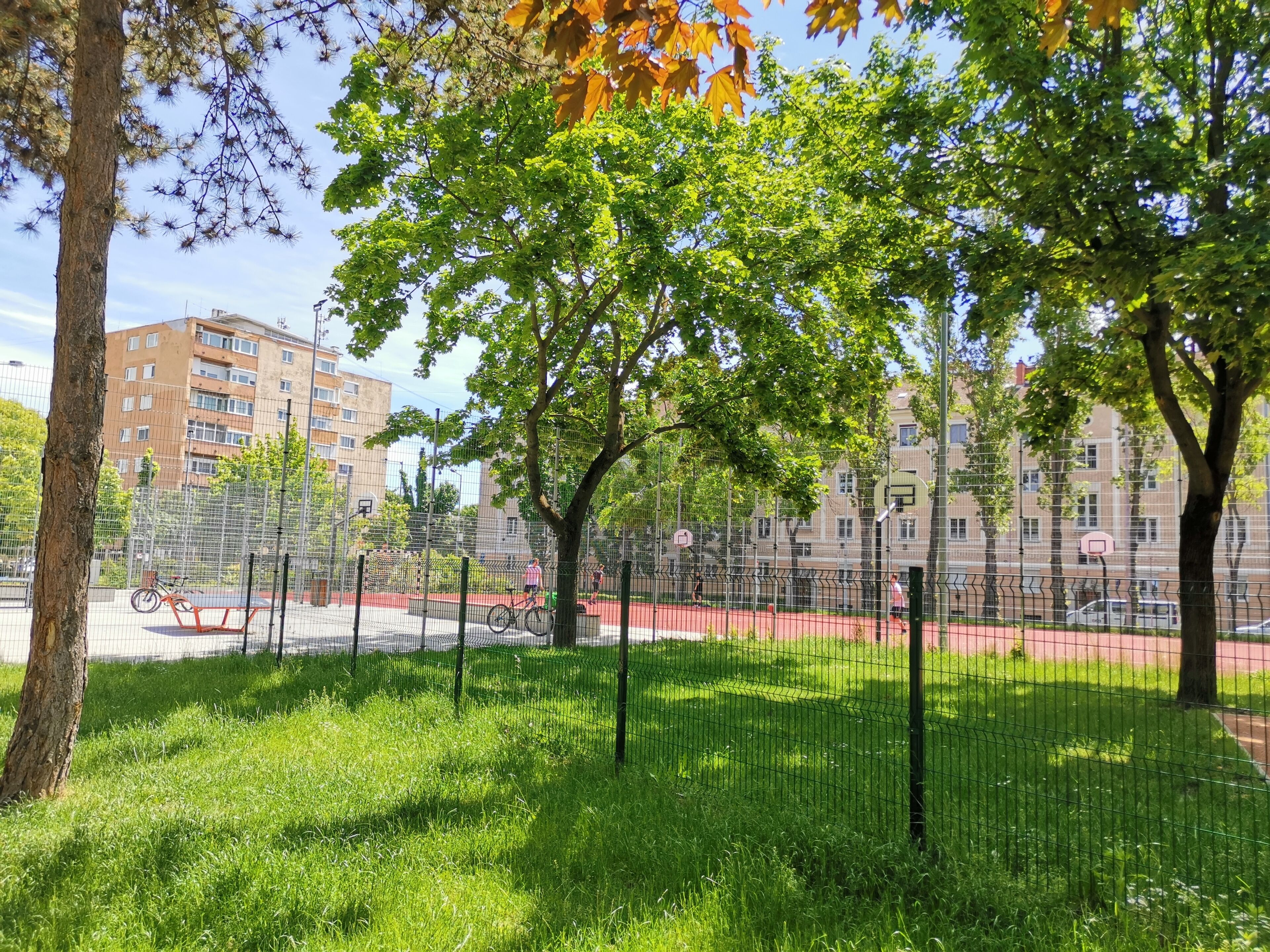 Una cancha de baloncesto rodeada de árboles y una valla, con edificios al fondo.