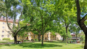 Une cour intérieure agrémentée d’arbres, de bancs et d’un bâtiment doté de nombreuses fenêtres et de balcons.