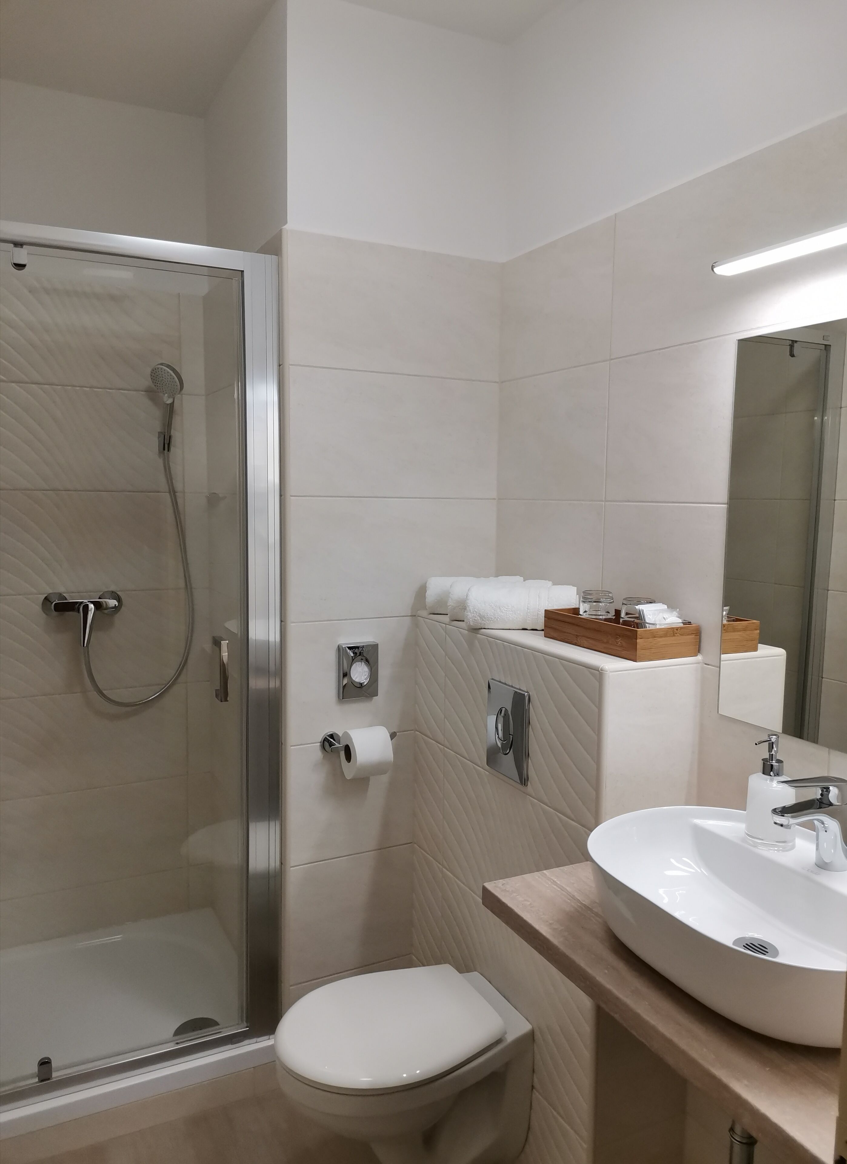 A modern bathroom with a glass-enclosed shower, a toilet, and a sink with a mirror.