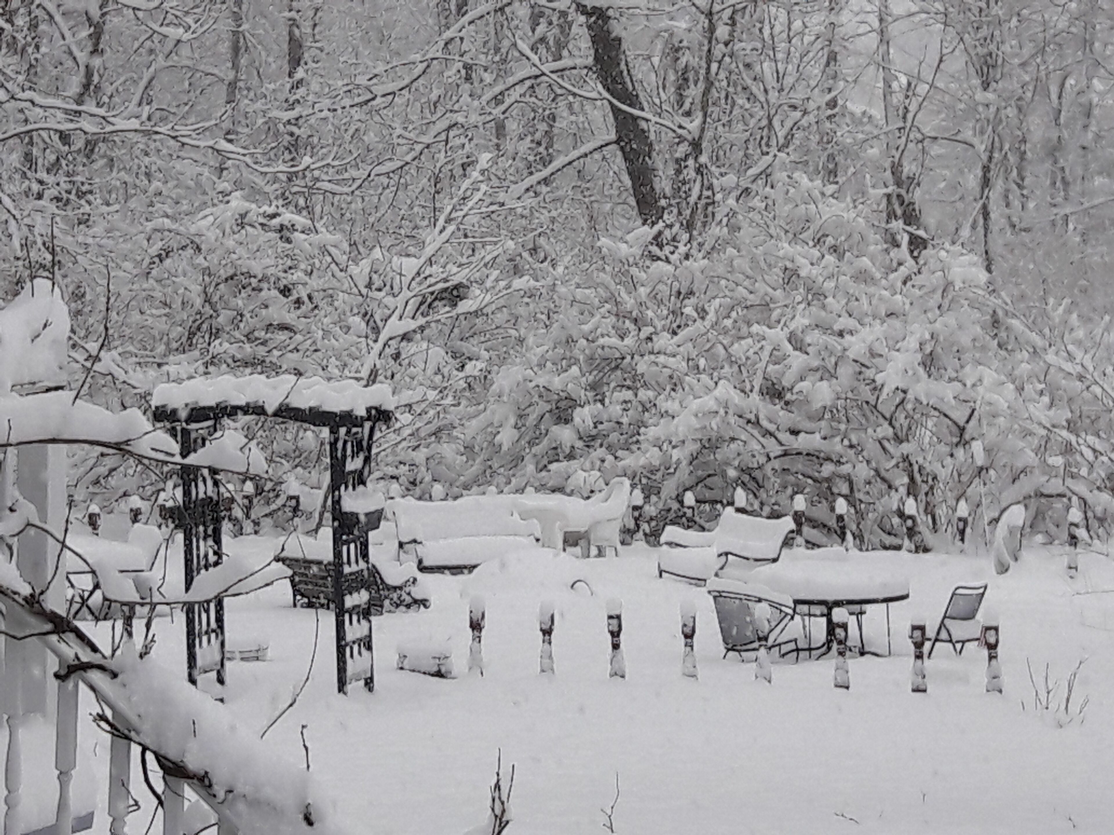 A snow-covered outdoor area with a gazebo, tables, and chairs.