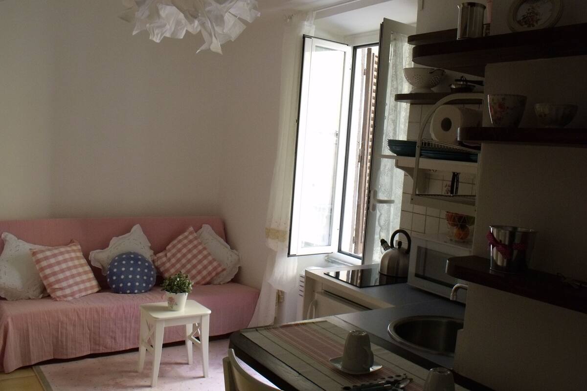 Una sala de estar acogedora con un sofá rosa, una mesita blanca con una planta, y una zona de cocina con un fregadero y una estufa.