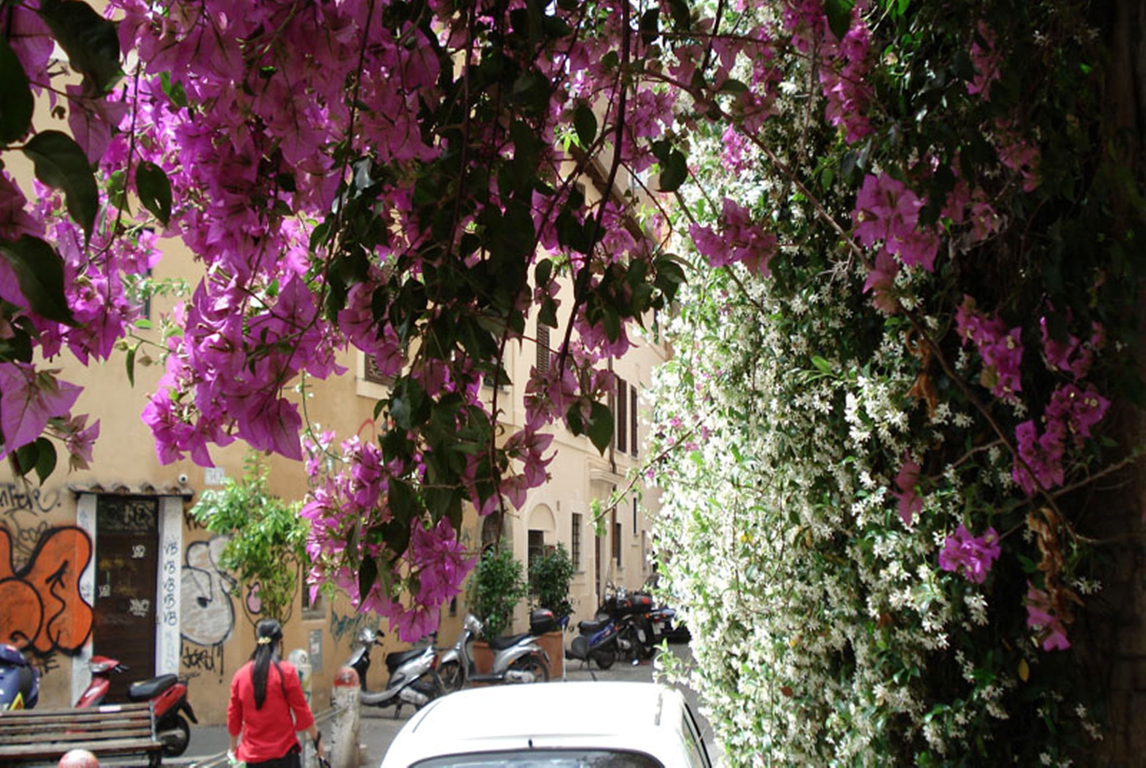 A narrow street with parked motorcycles and scooters, a pedestrian, and a building with graffiti.