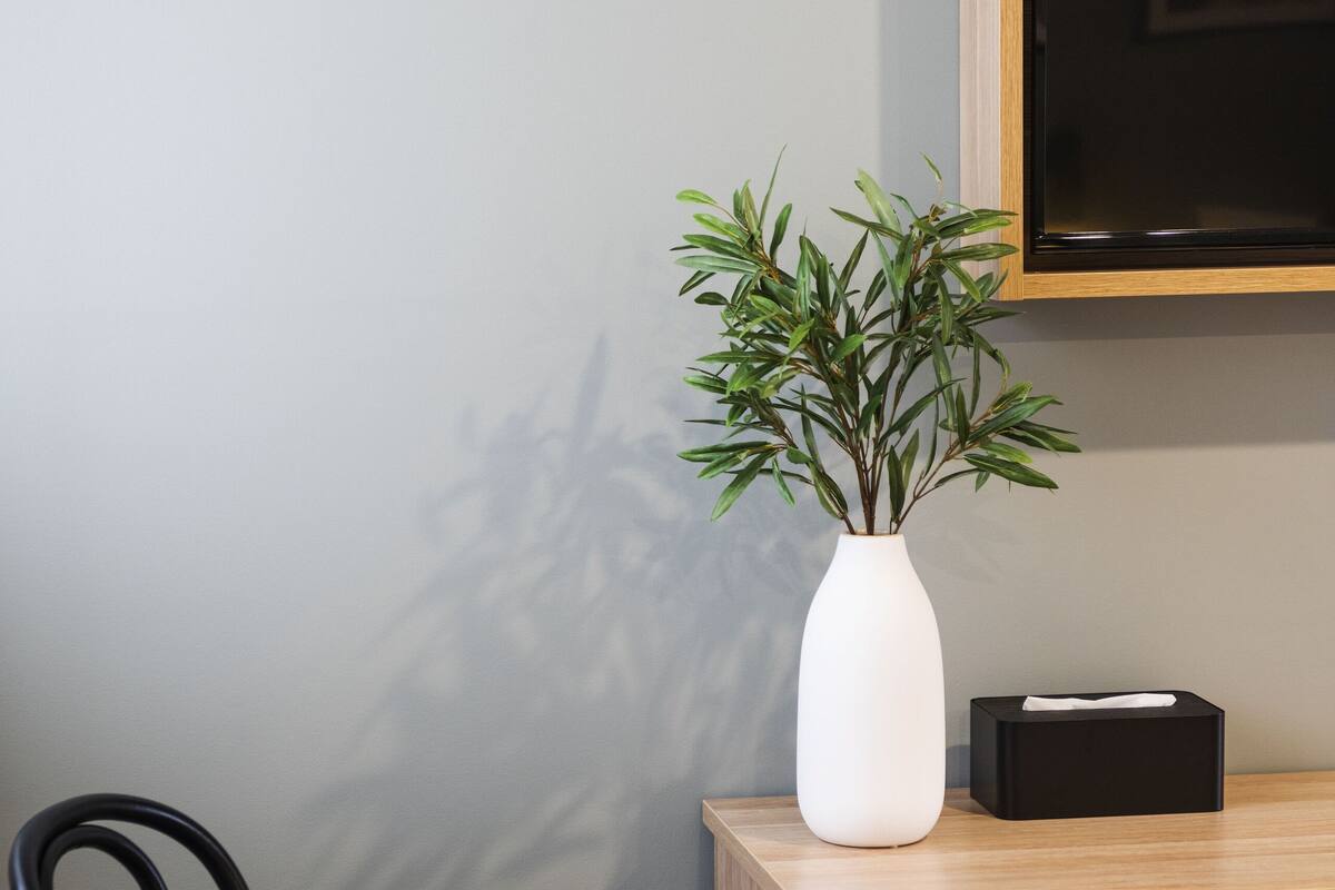 deluxe room, 1 queen bed | desk, laptop workspace, iron/ironing board, free wifi