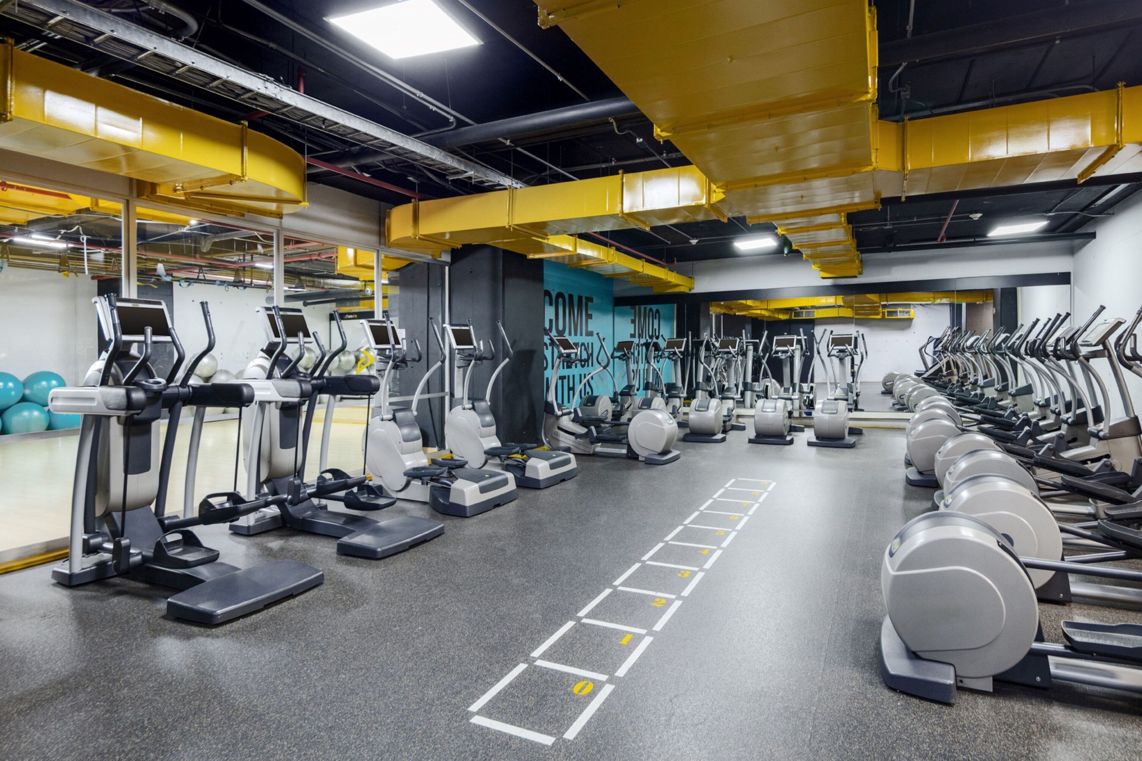 Un gimnasio con múltiples cintas de correr, bicicletas estáticas y máquinas de remo dispuestas en filas.