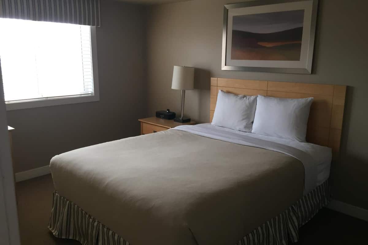 iron/ironing board, free wifi, bed sheets, alarm clocks