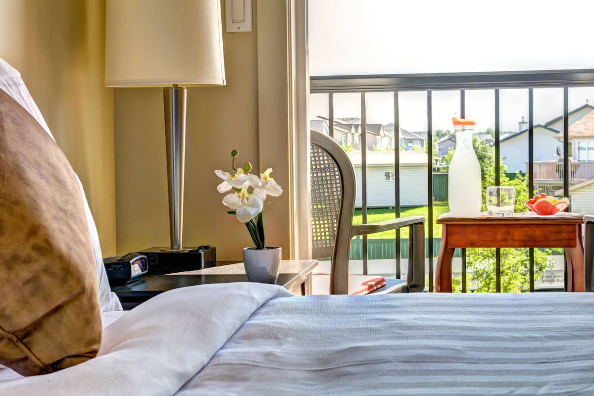 Tabla de planchar con plancha, wifi gratis, despertador y ropa de cama 