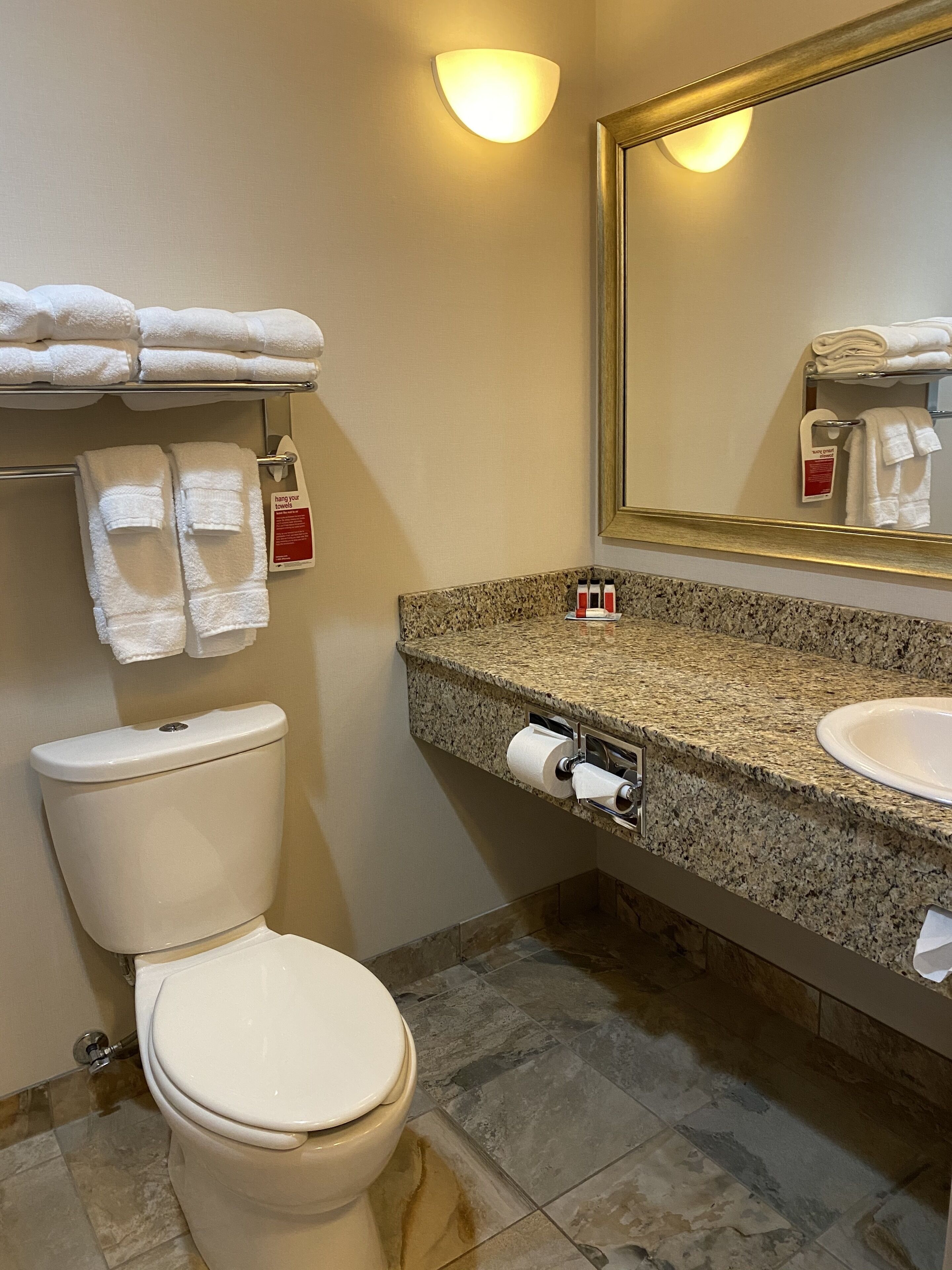 combined shower/bathtub, free toiletries, hair dryer, towels