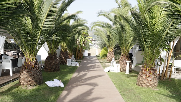 Jardín