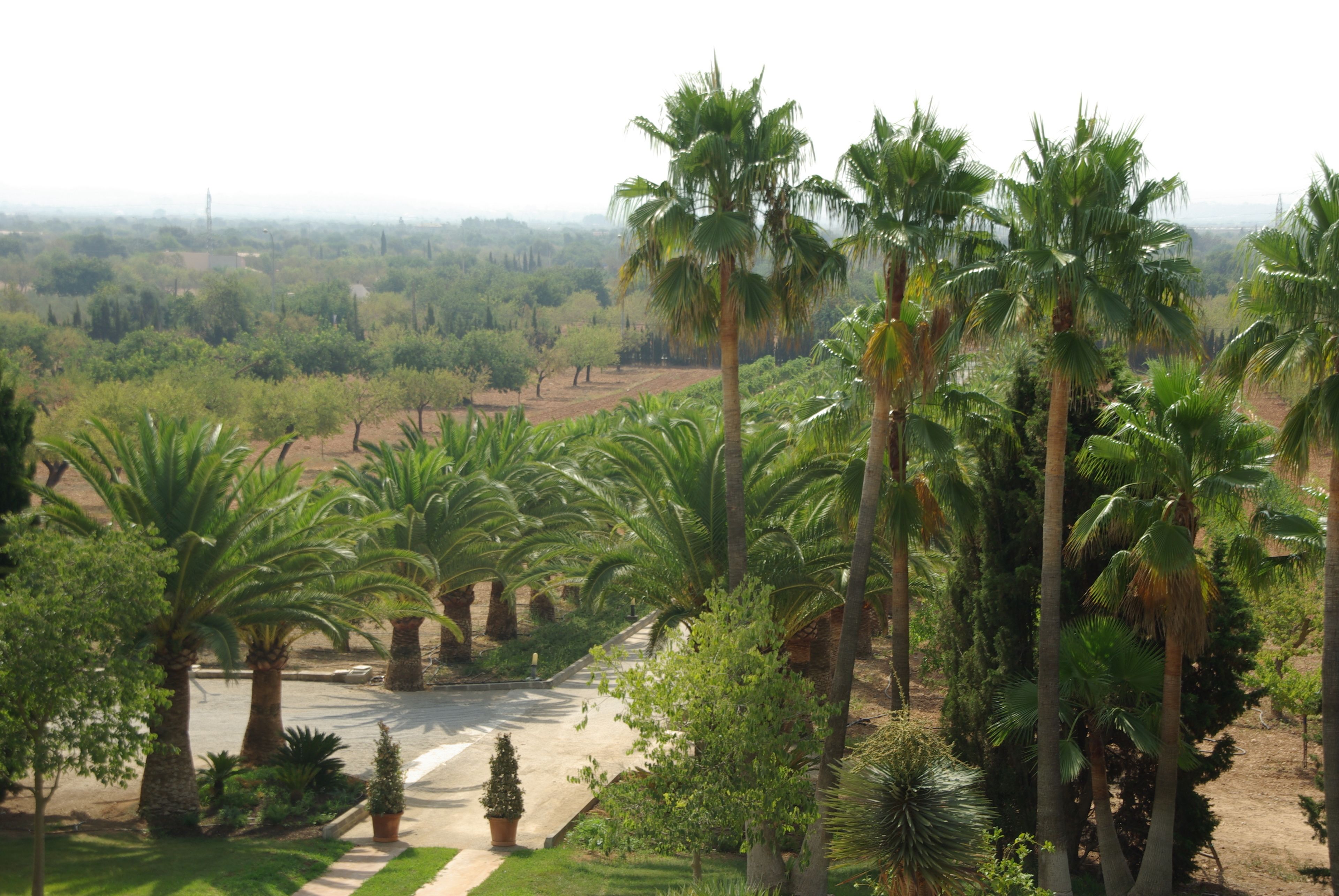 Photo - Sa Cabana Hotel Rural & Spa - Adults Only