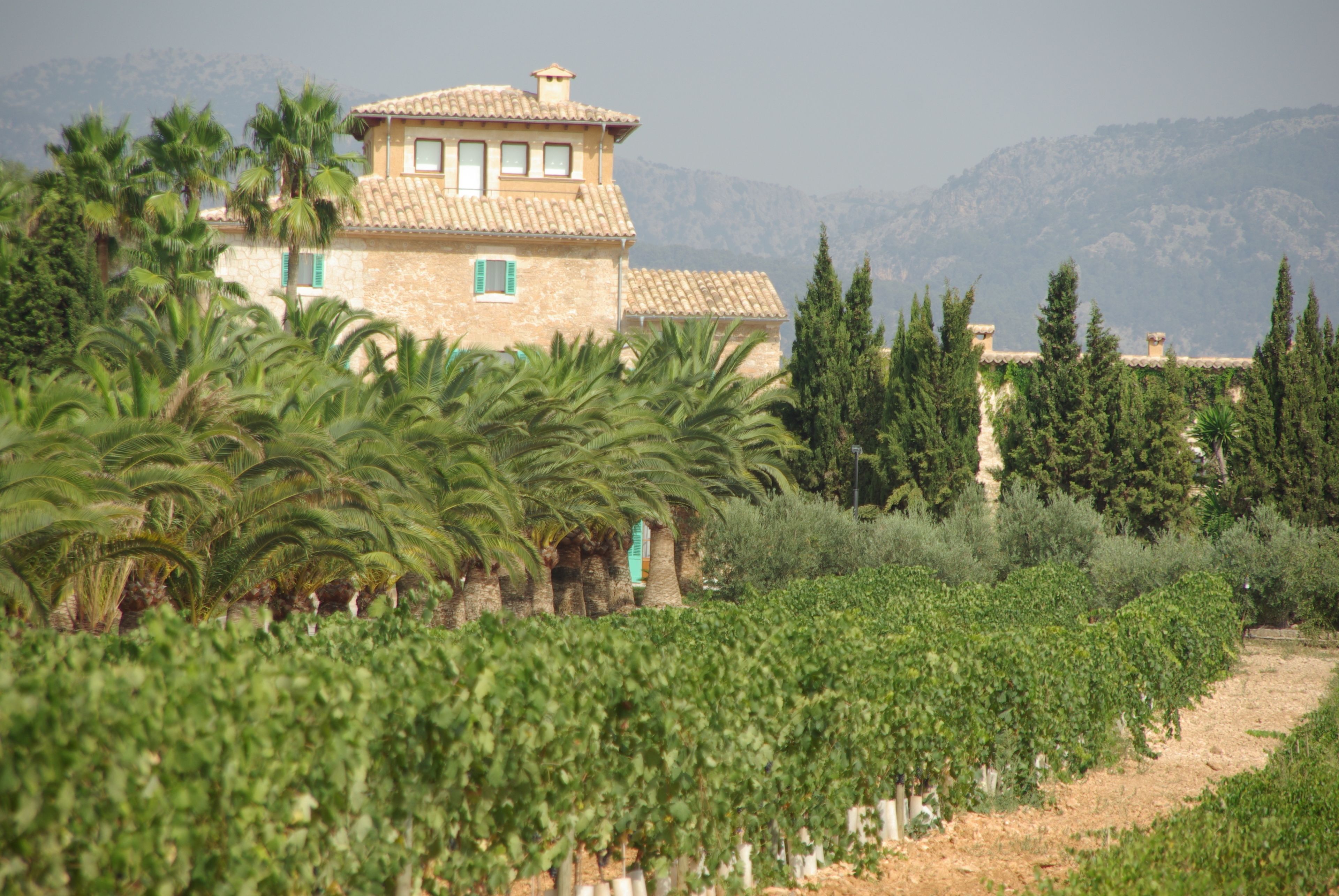 Photo - Sa Cabana Hotel Rural & Spa - Adults Only