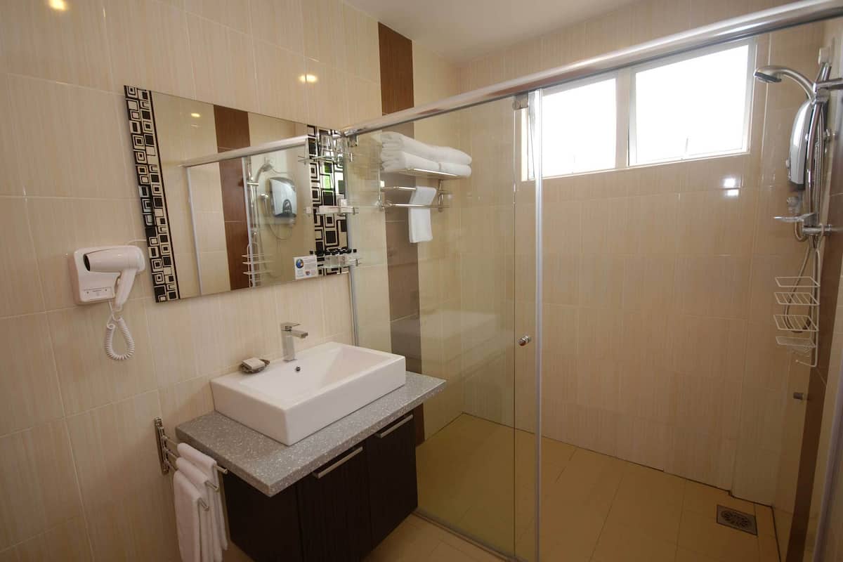 shower, hair dryer, bidet, towels
