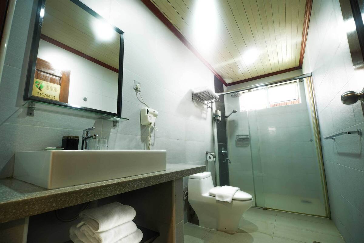 shower, hair dryer, bidet, towels