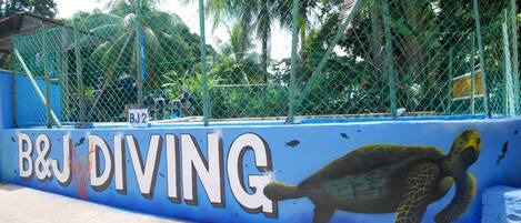 A blue wall with the text "B&J Diving" and a mural of a sea turtle.