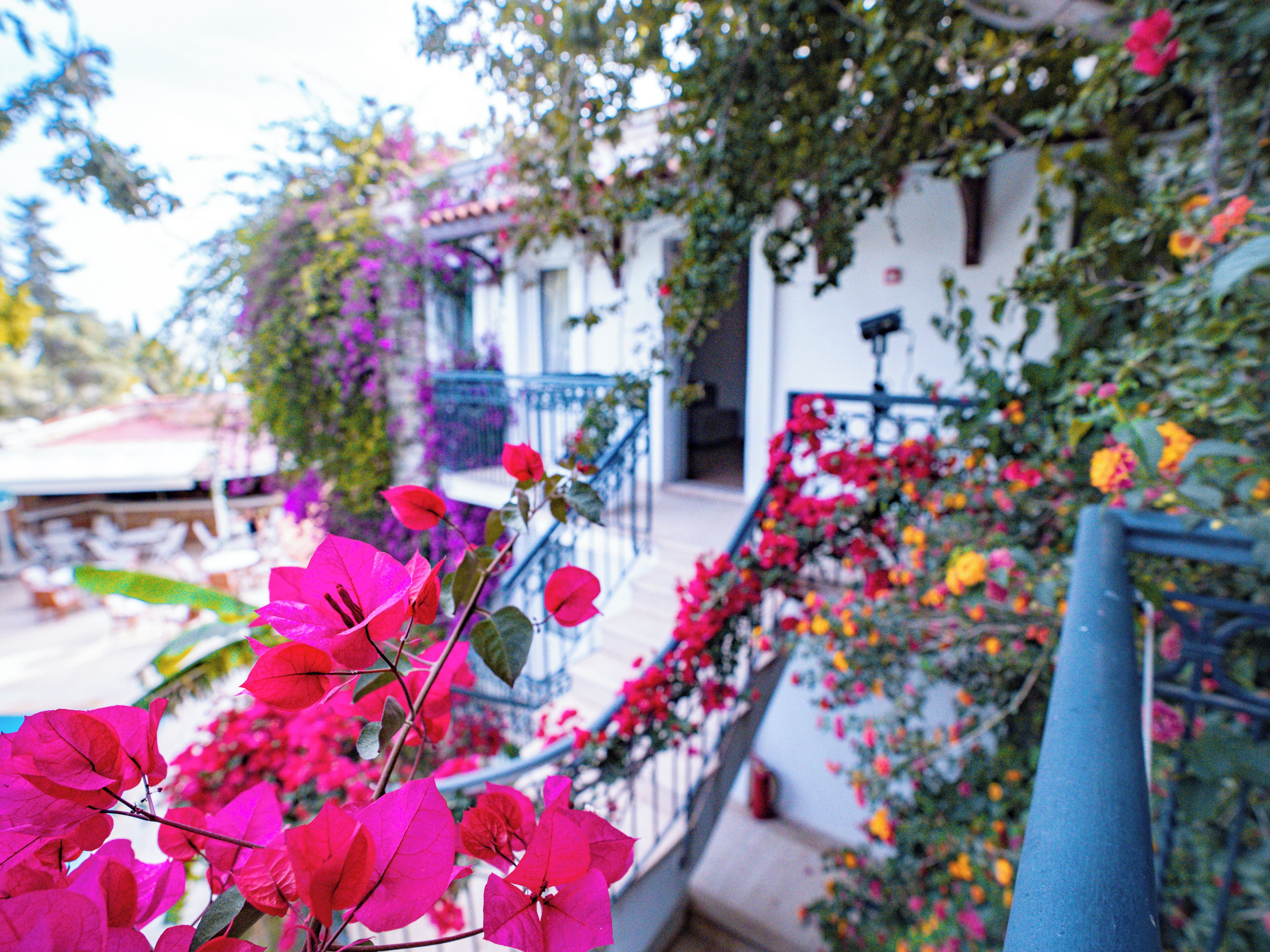 Foto - Moonshine Hotel & Suites