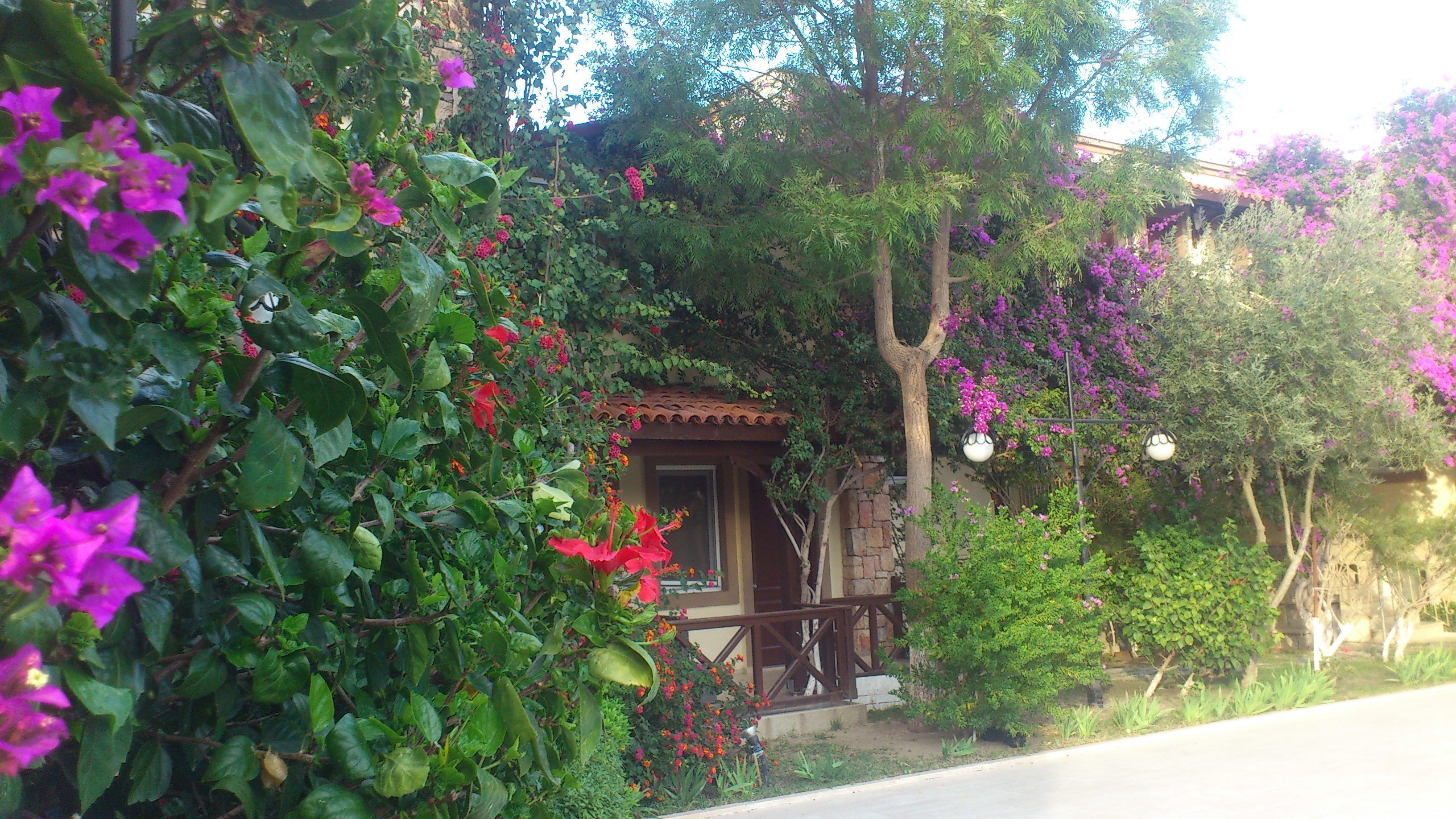 Foto - Moonshine Hotel & Suites