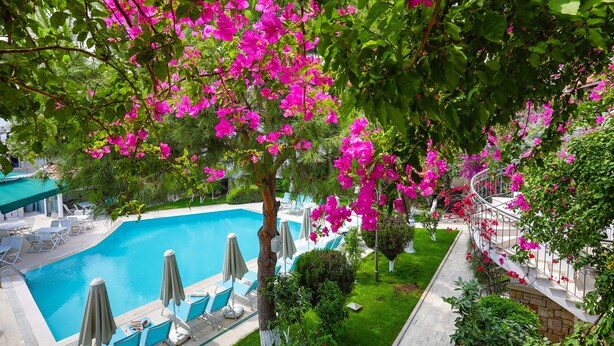 A swimming pool with lounge chairs and umbrellas, surrounded by lush greenery and pink flowers. - Moonshine Hotel & Suites (Bodrum)