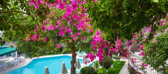 Moonshine Hotel & Suites