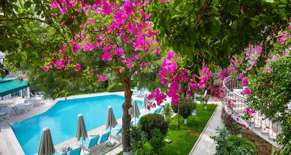 Moonshine Hotel & Suites