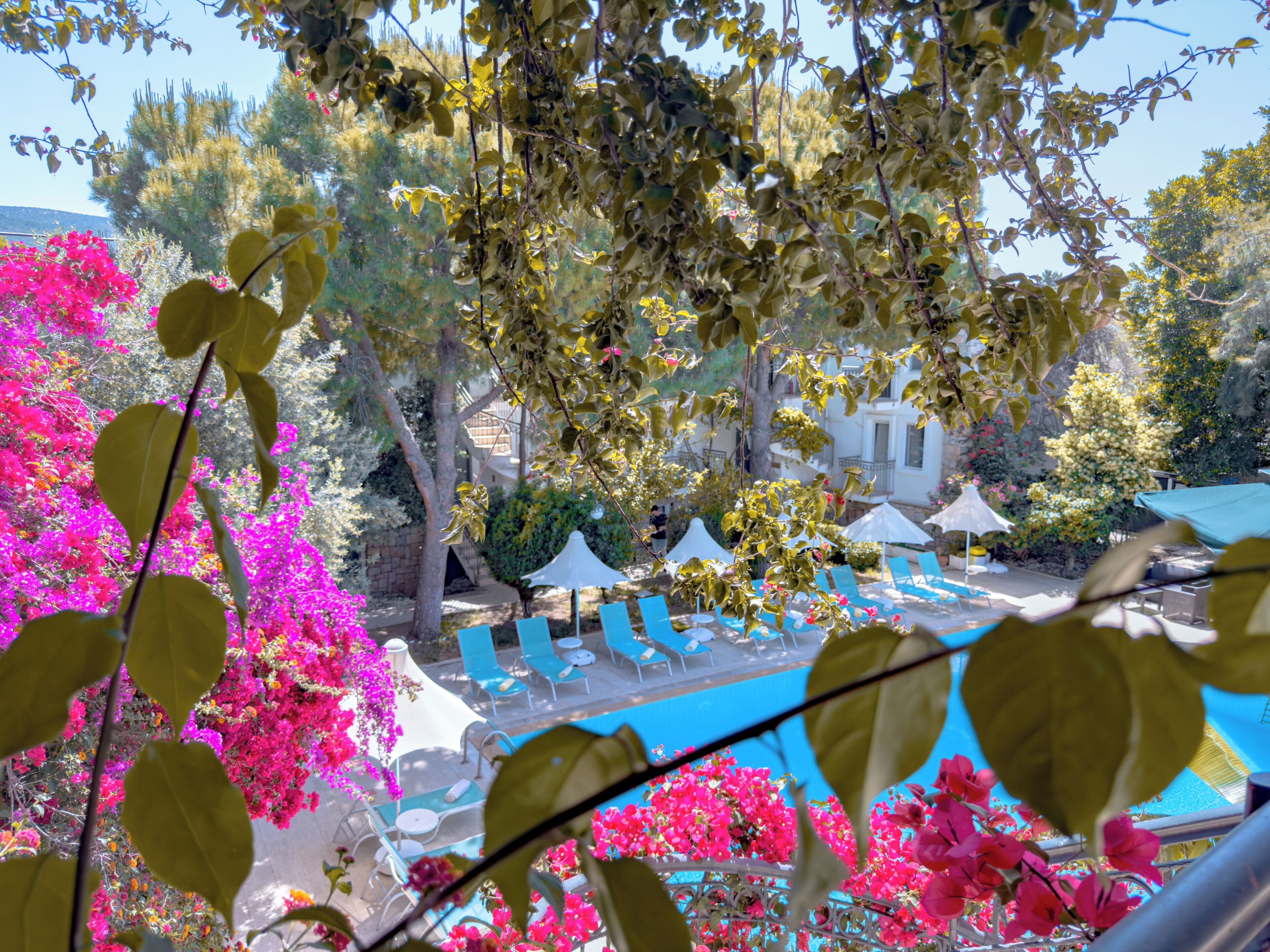 Foto - Moonshine Hotel & Suites