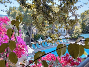 Un área de piscina con sillones de descanso y sombrillas, rodeada de árboles y flores de buganvilla.