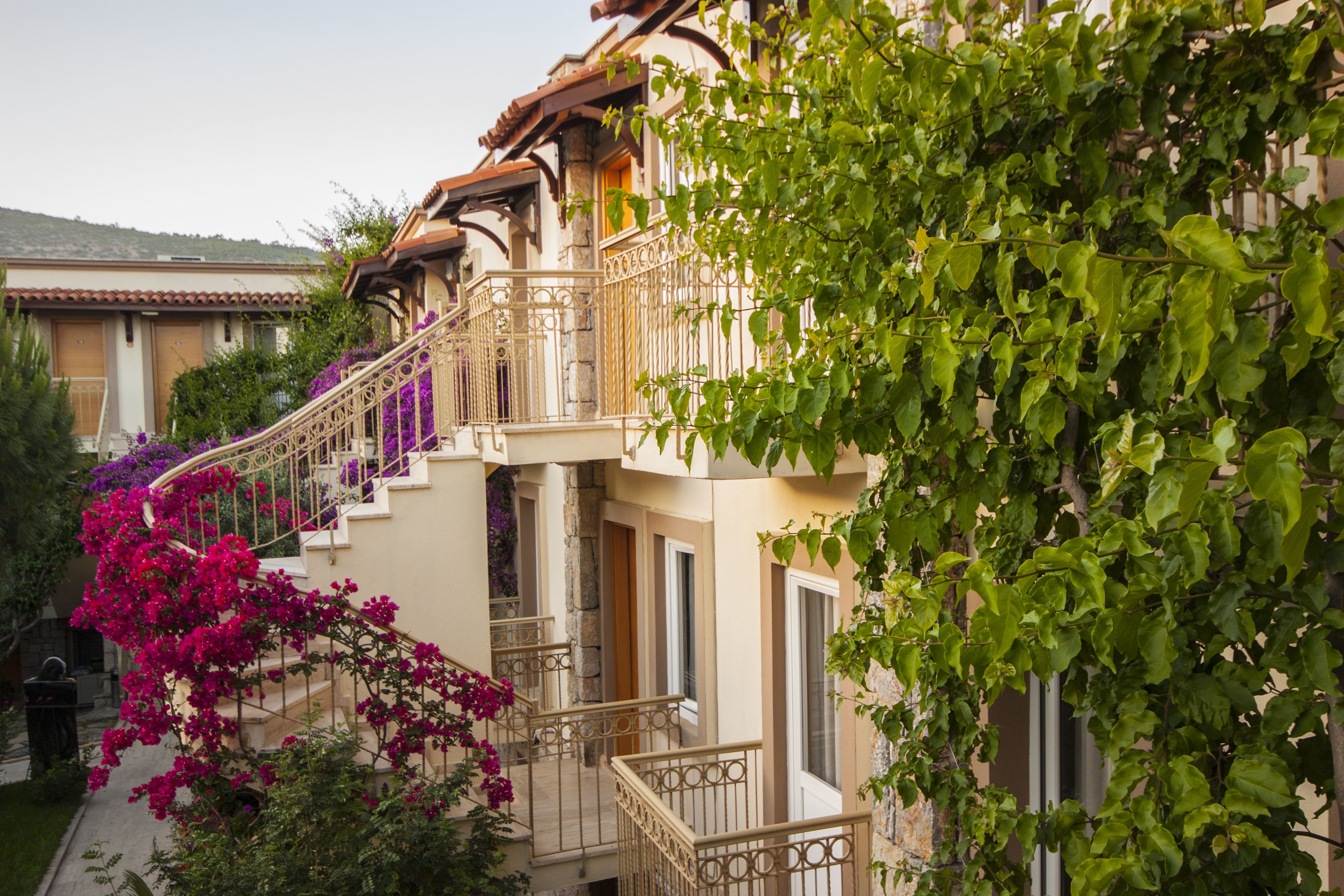 Foto - Moonshine Hotel & Suites