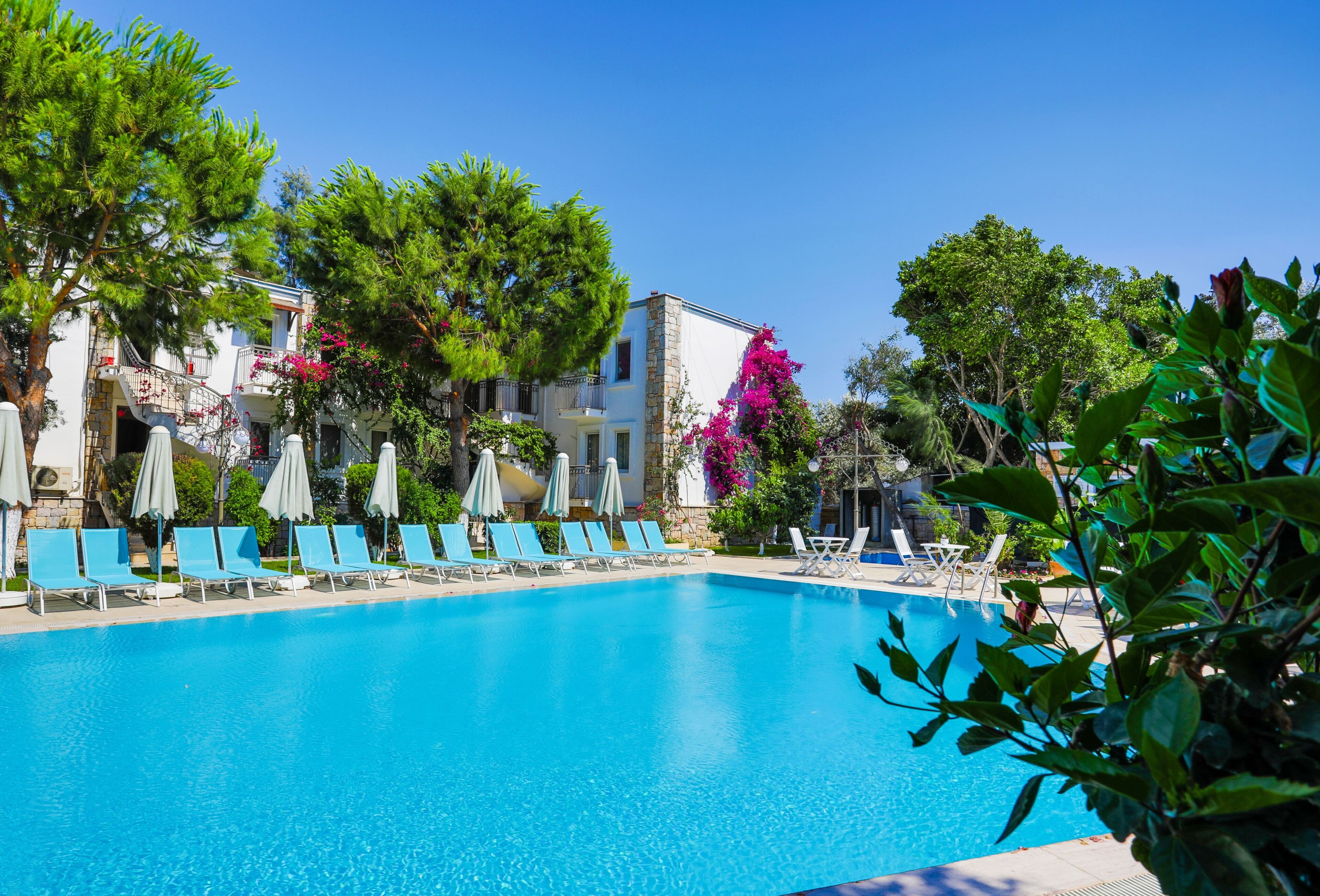 Foto - Moonshine Hotel & Suites