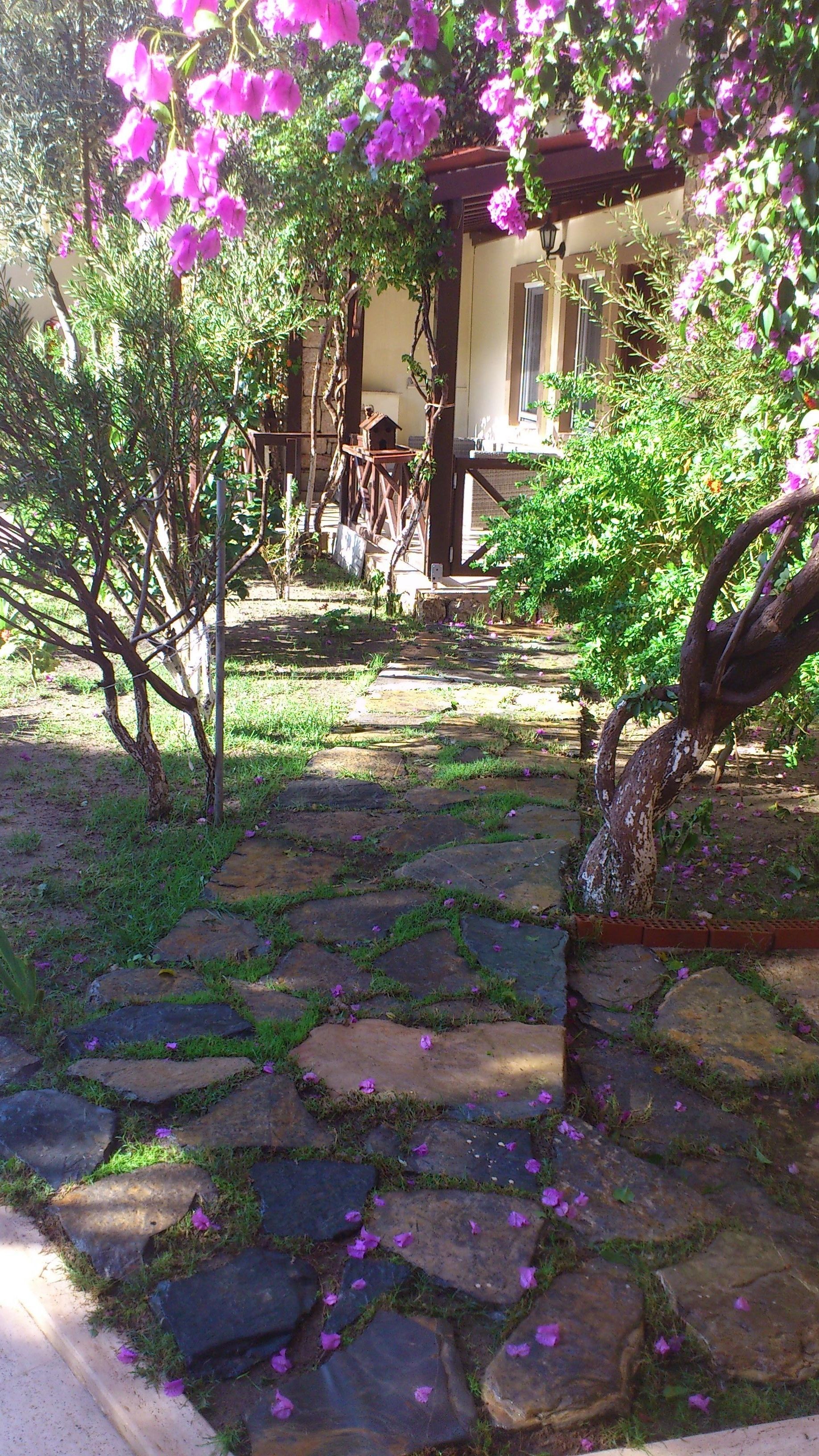 Foto - Moonshine Hotel & Suites