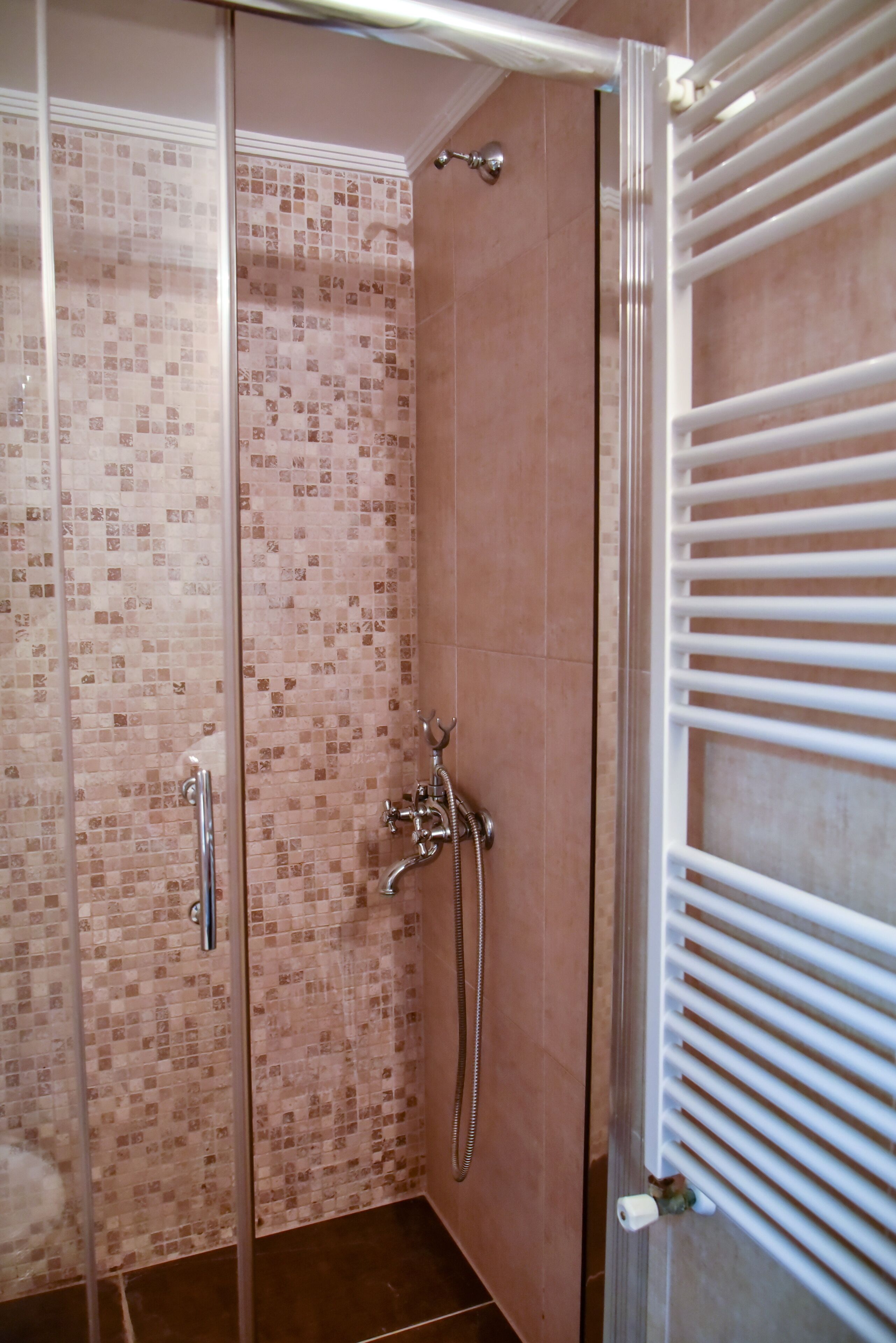 A shower with a glass door, a handheld showerhead, and a towel rack.