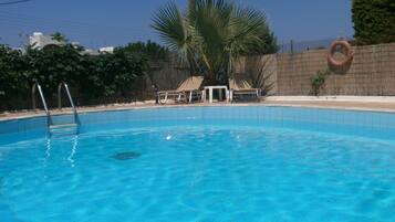 A swimming pool with clear blue water, surrounded by a wooden fence, a palm tree, and lounge chairs.