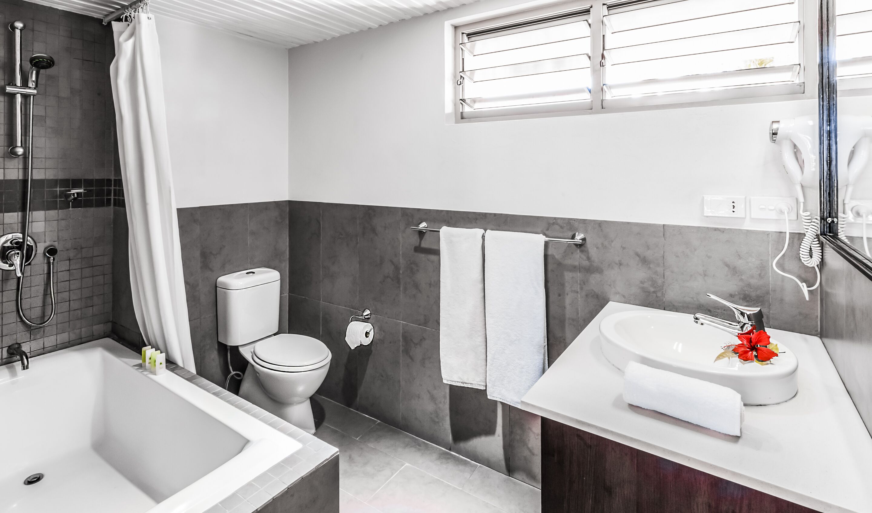 shower, free toiletries, hair dryer, towels