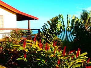 Economy Room, Kitchenette, Garden View | Pemandangan dari bilik