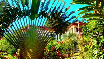 Jardí