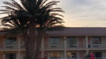 A two-story building with balconies, a palm tree, and a fenced patio area.