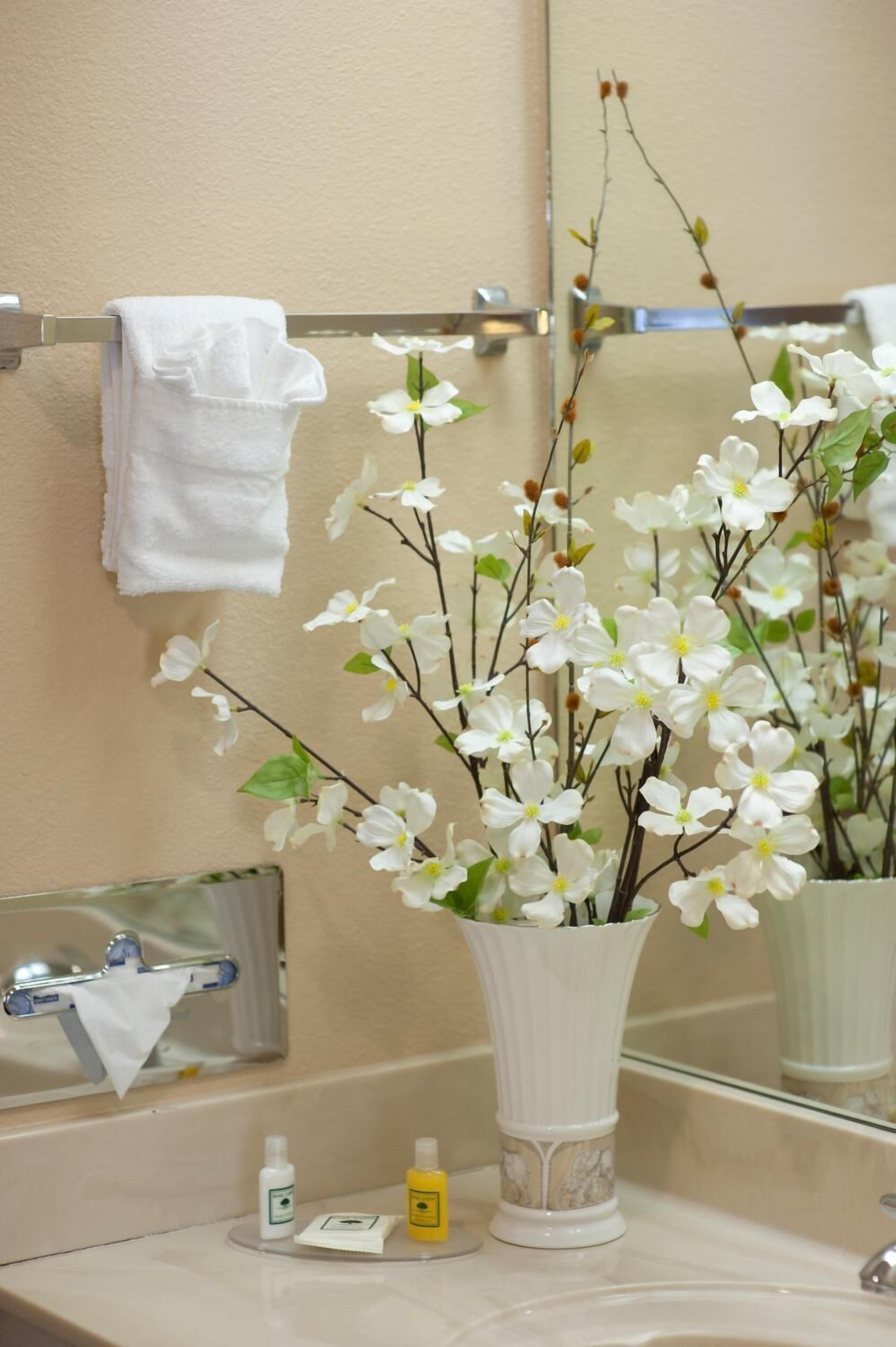 Combined shower/bathtub, free toiletries, towels