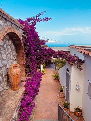 Exterior - B&B Il Tramonto (Anacapri)