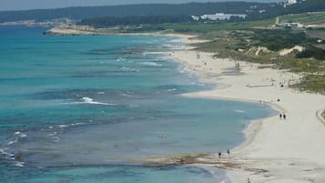 Una spiaggia nelle vicinanze, immersioni subacquee