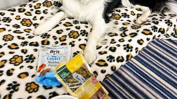 Un perro recostado sobre una manta de estampado de leopardo, junto a comida para mascotas y un paquete de snack Brit Light Conejo Enriquecido con Papaya.