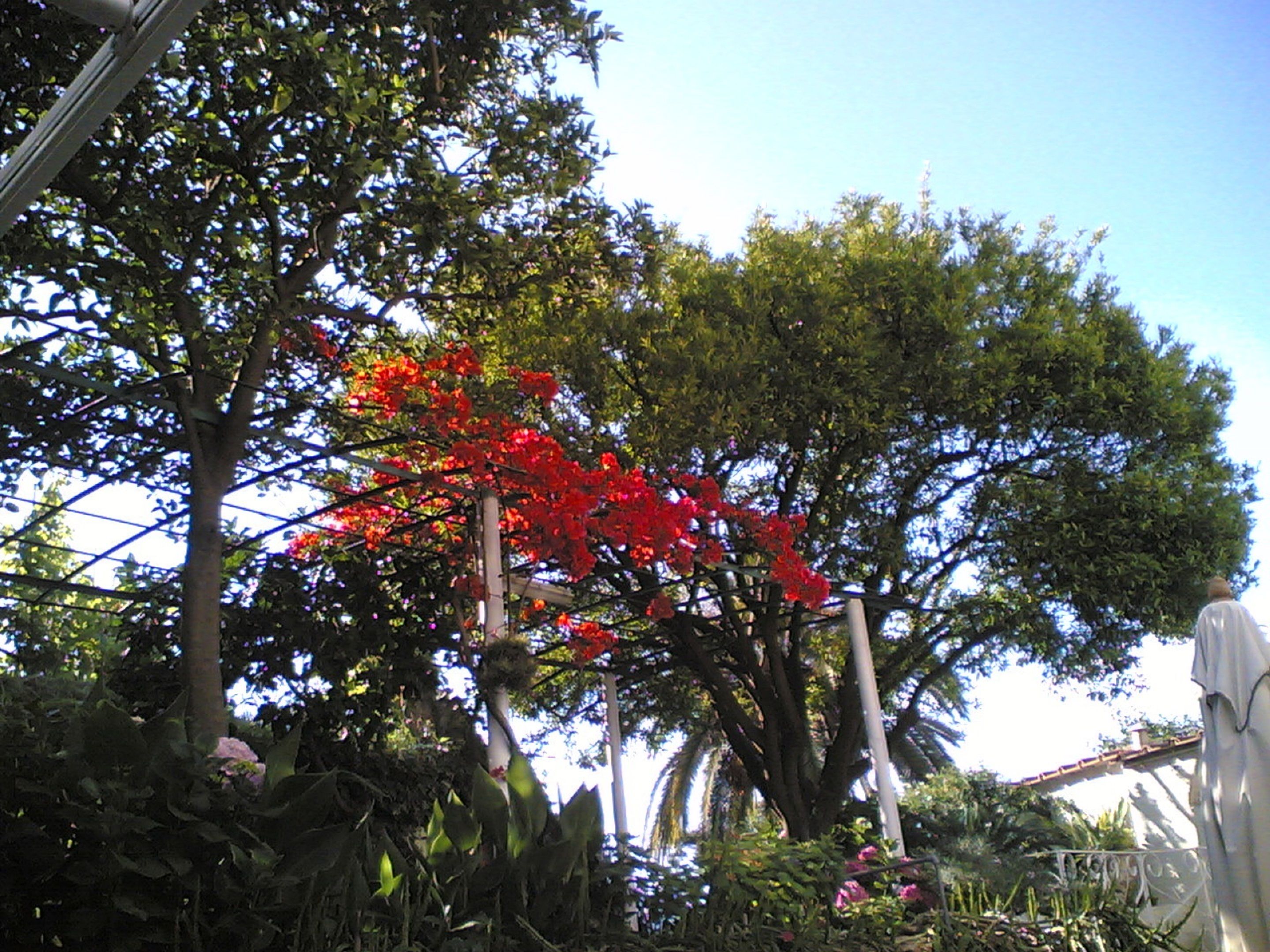 Foto - Hotel & Residence Matarese