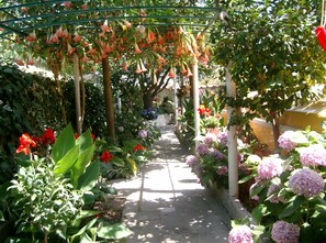 Un vialetto nel giardino con diverse piante e fiori, tra cui ortensie e fiori pendenti.