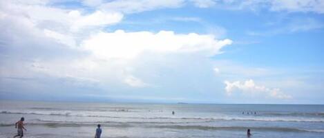 Beach umbrellas, beach bar