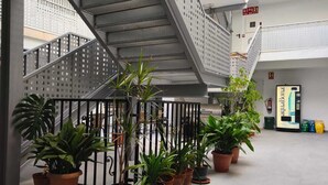 中庭