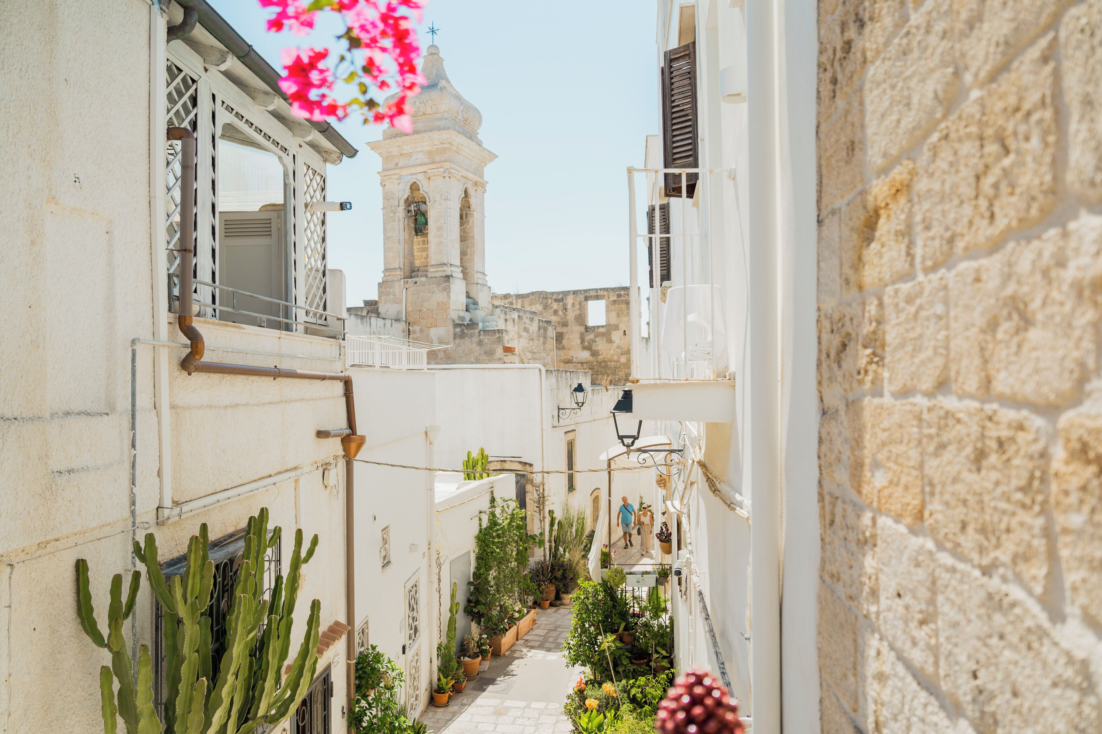 A narrow street with buildings, a tower, and potted plants.